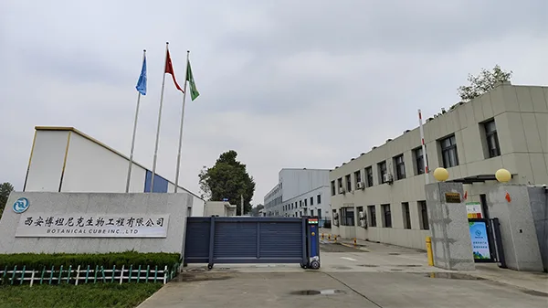 Factory View Factory View