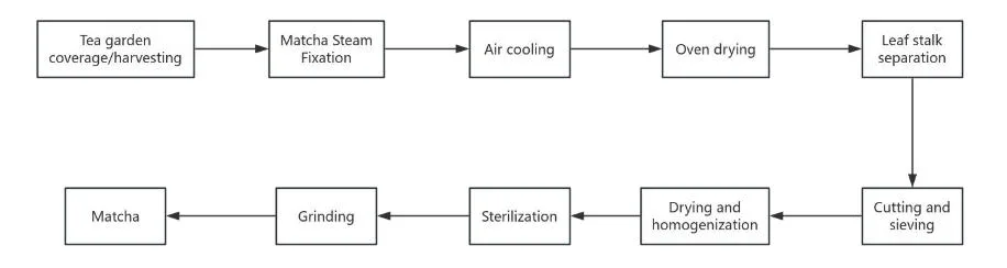 How is Matcha Processed