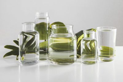 Plant Extracts