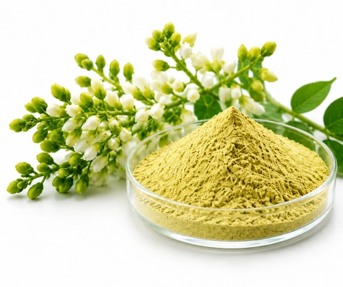 Sophora Japonica Extract Powder
