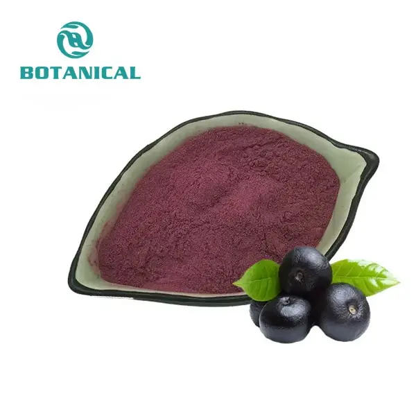 Acai Berry Powder
