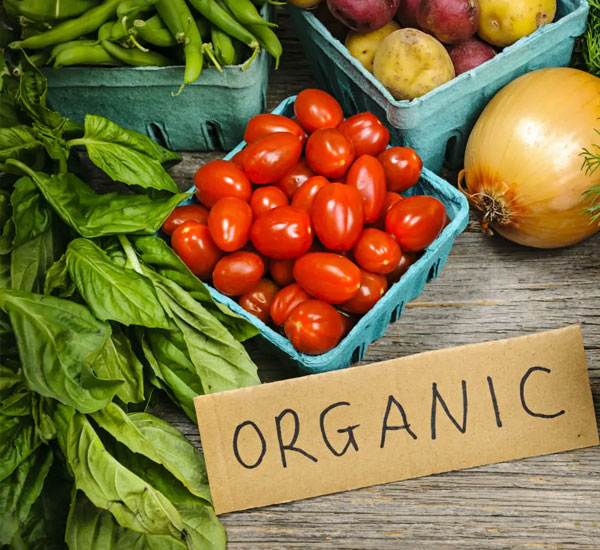 Organic Products Supplier and Manufacturer