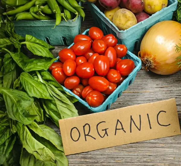 Organic Products Supplier and Manufacturer
