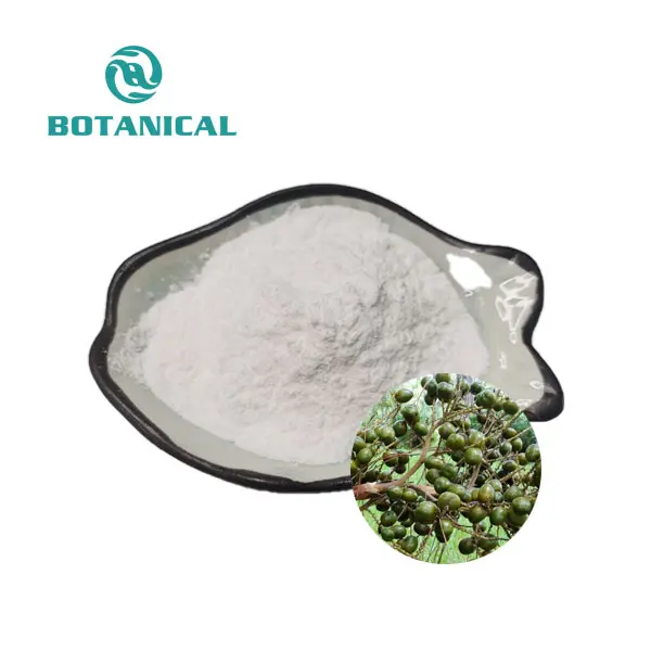 Saw Palmetto Extract Powder