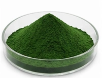 Drying & Powder Processing