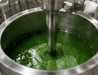 Extraction & Processing