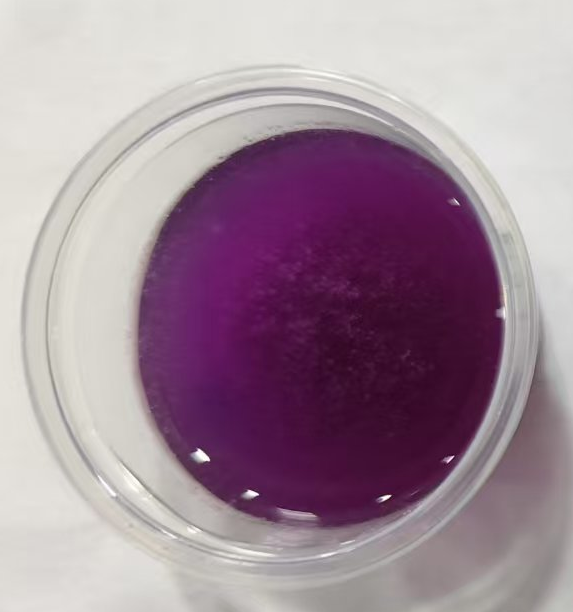 Regular Ube Powder