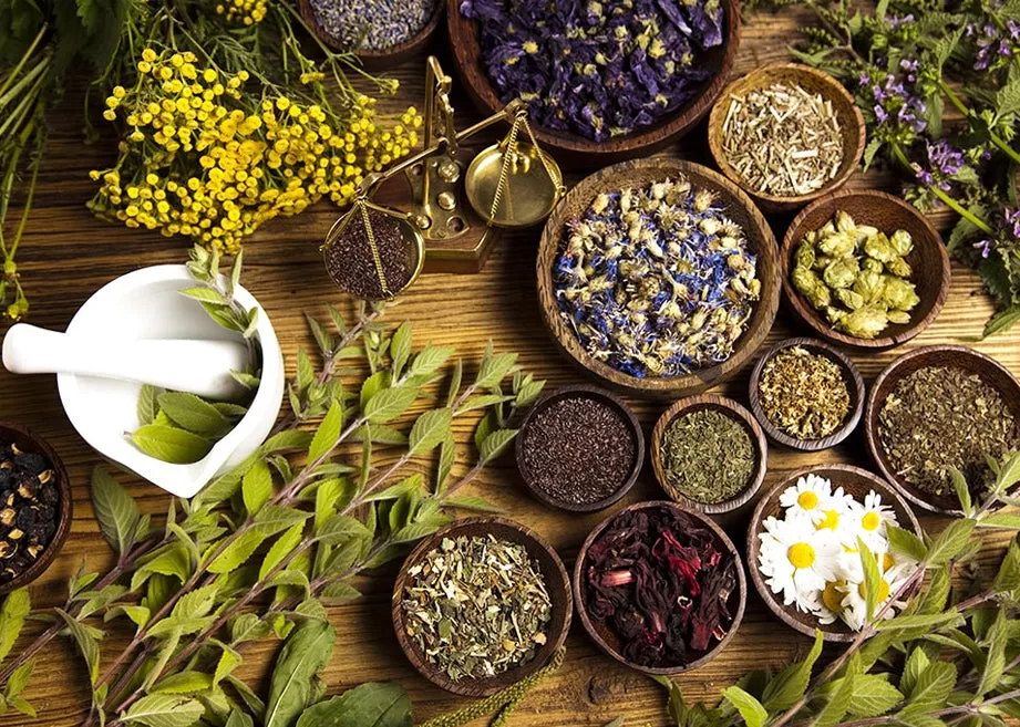 The Future of Plant Extracts