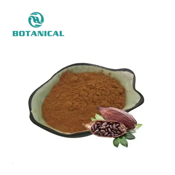 Cocoa Bean Extract Cocoa Bean Powder