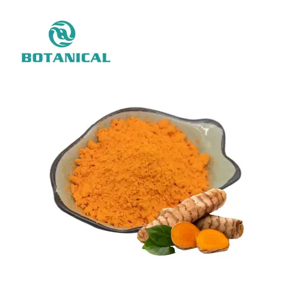 Turmeric Extract Curcumin Powder