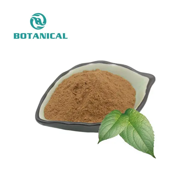 Eucommia Ulmoides Leaf Extract Powder