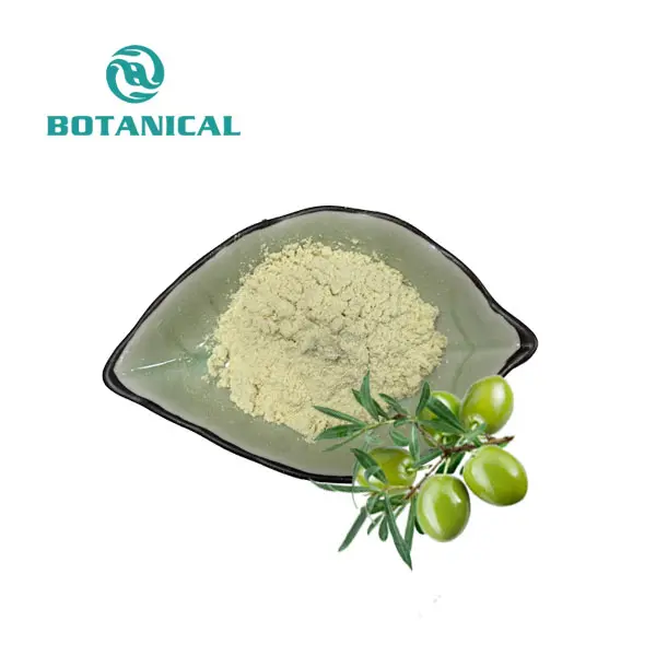 Olive Leaf Extract Oleuropein 70%
