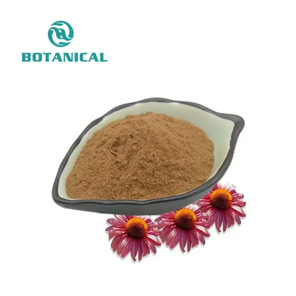 Echinacea Purpurea Extract Powder