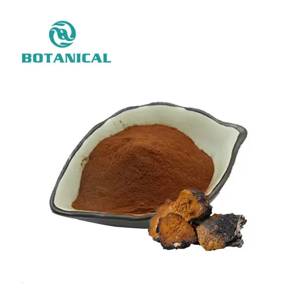 Chaga Mushroom Extract Powder