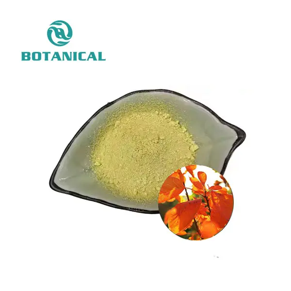 Cotinus Coggygria Extract Fisetin Powder