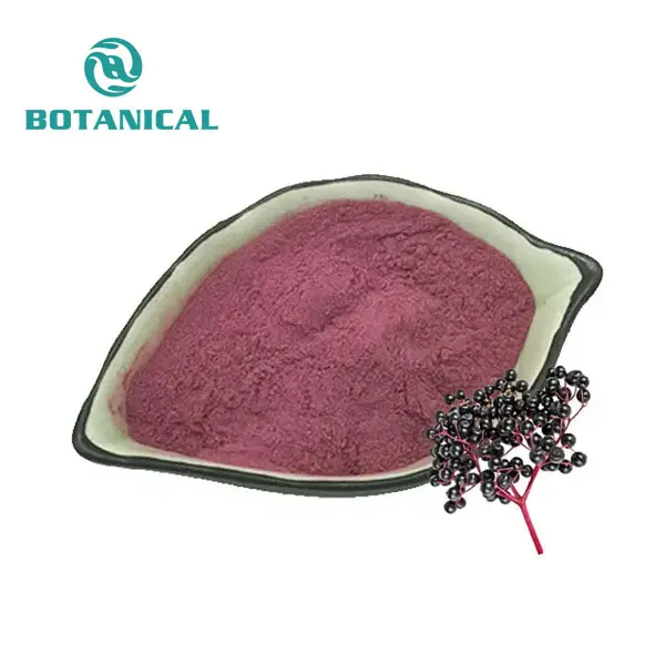 Elderberry Extract Powder
