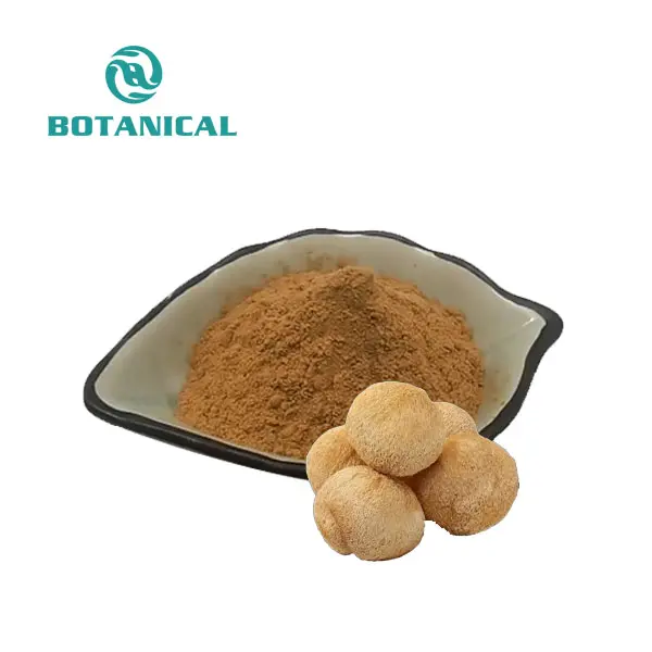 Lion's Mane Mushroom Extract/Hericium erinaceus extract Powder