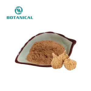 Botanical Cube Maca Extract Powder