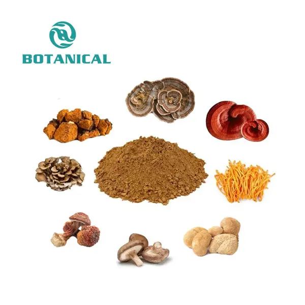 Organic Mushroom Extract Blend Powder