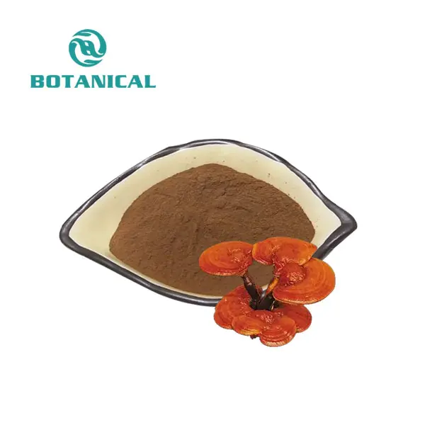 Reishi Mushroom Extract/Ganoderma Lucidum Extract Powder