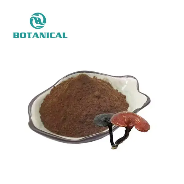 Reishi Mushroom Spore Powder