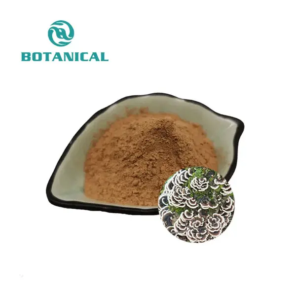 Turkey Tail Mushroom Extract/Coriolus Versicolor Extract Powder