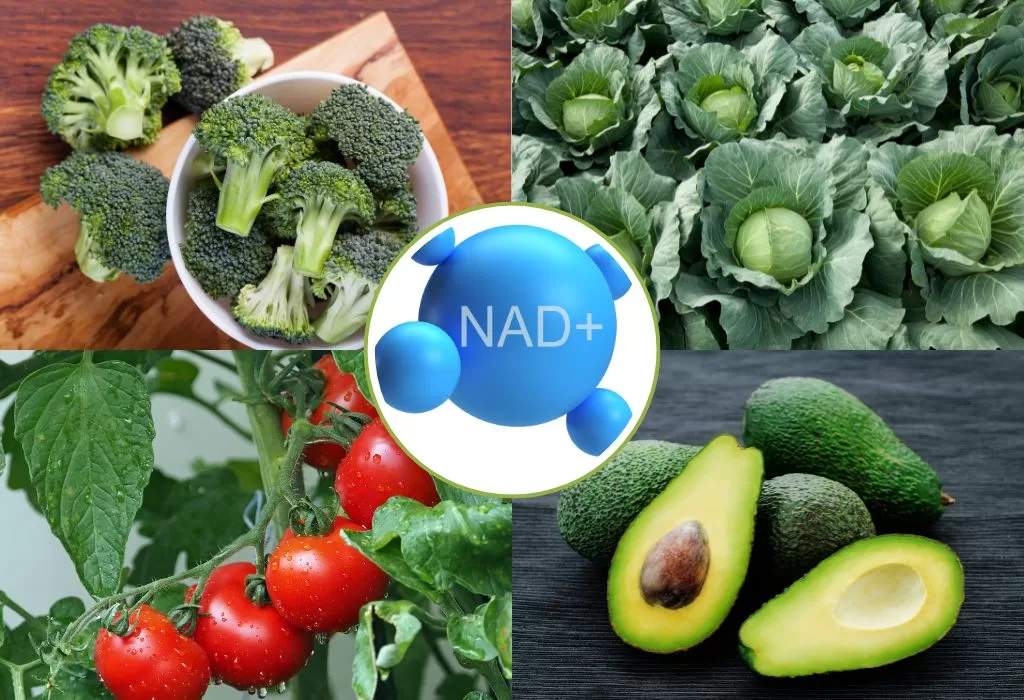 Food Sources of NMN