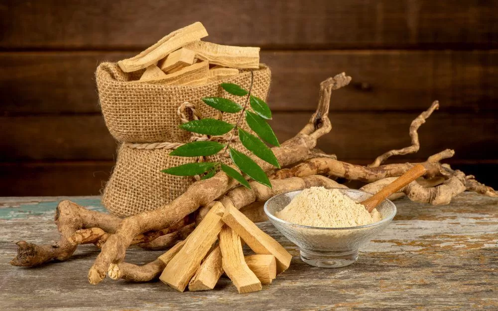How To Use Tongkat Ali extract powder