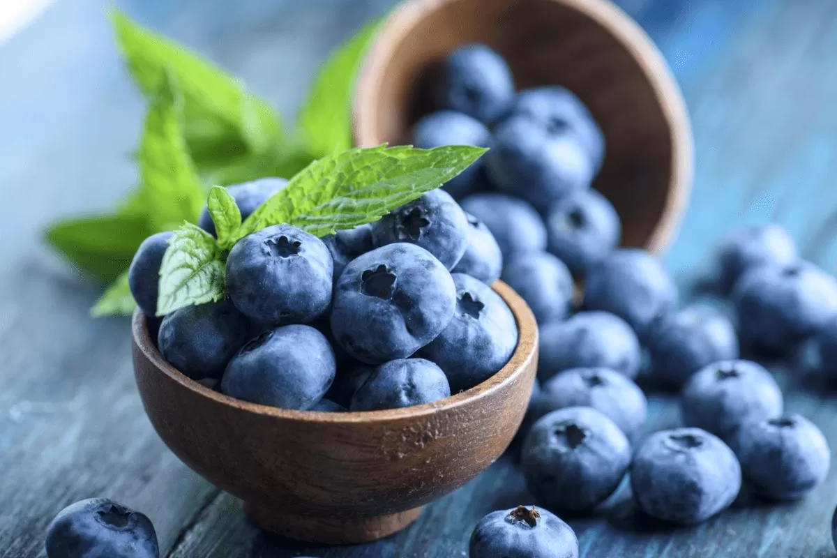 Key Features of Pterostilbene Powder