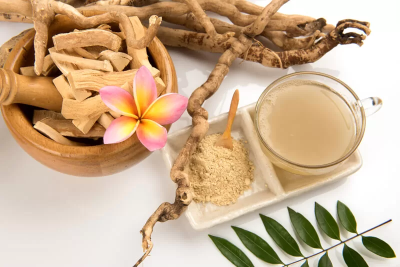 Who Should Avoid Tongkat Ali Powder