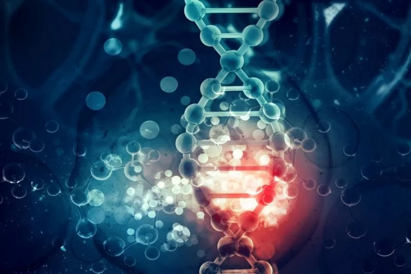 Protecting DNA from Oxidative Stress