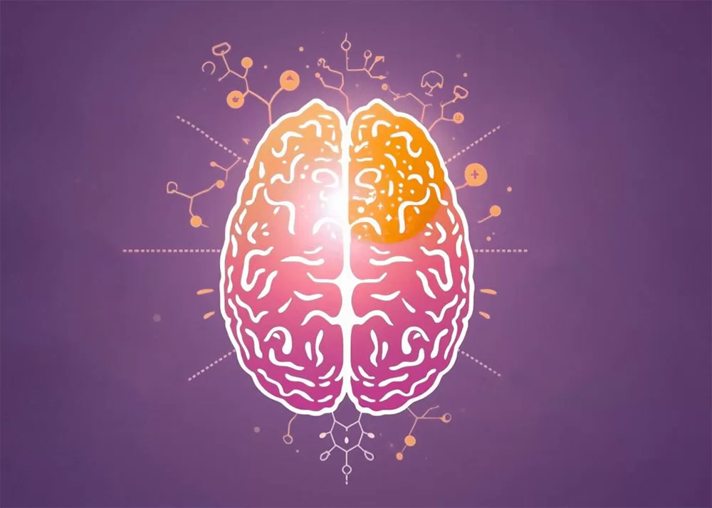 Support Brain & Cognitive Function