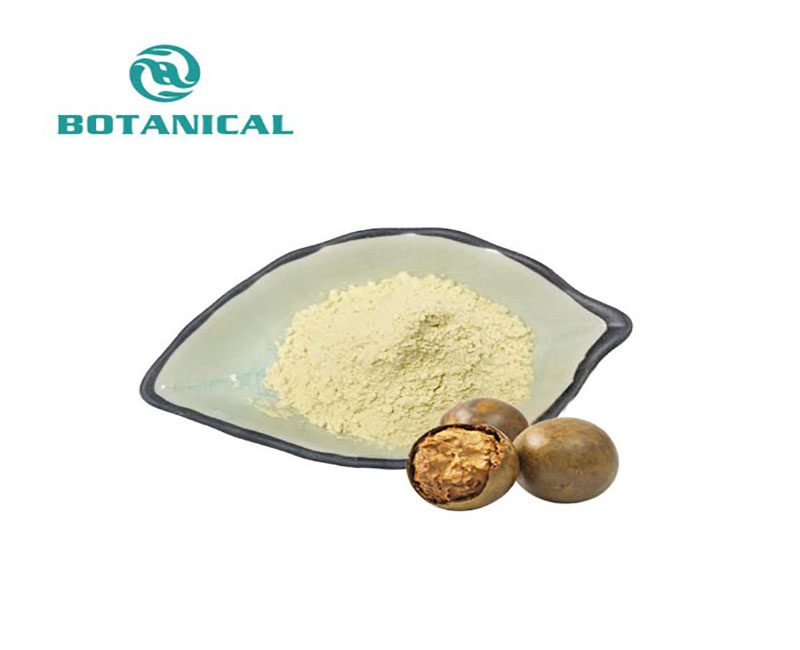 Monk Fruit Extract vs Stevia: Taste, Cost & Formulation