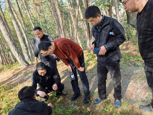 Epimedium raw material base 3