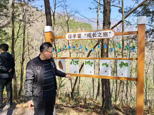 Tracing Quality From Field to Extract at Our Epimedium Base