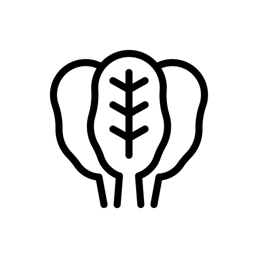 Dietary Fiber Source