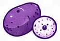 Fresh Purple Yam