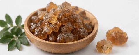 Raw Material Selection