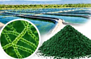 Raw Material and Cultivation