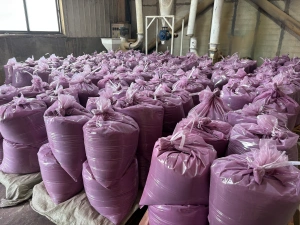 Bulk ube extract