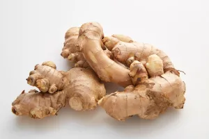 Fresh Zingiber officinale Rhizome