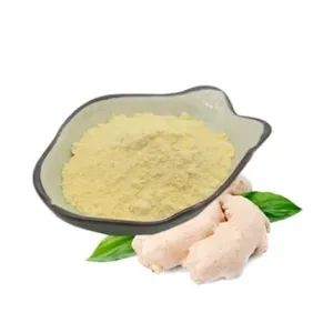 Milled Whole Ginger Powder