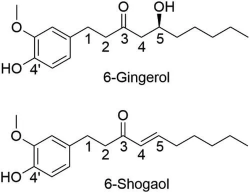 Chemical Conversion of Gingerols to Shogaols