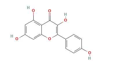 Kaempferol Chemical Structure
