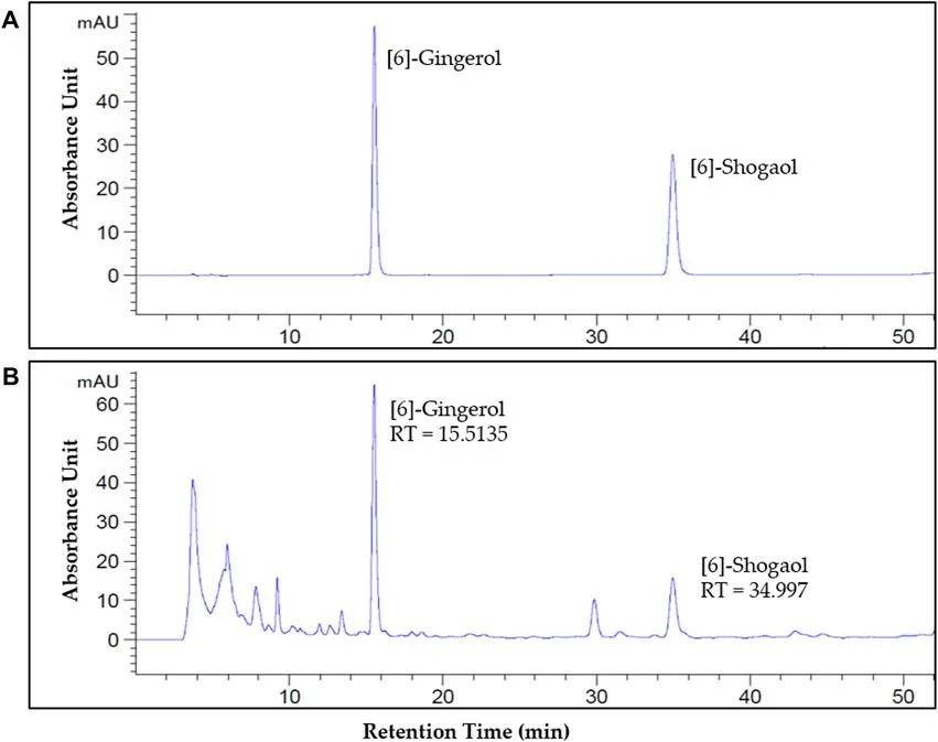 Scientific Research Overview on Gingerols and Shogaols